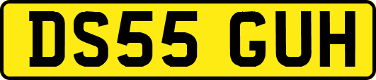 DS55GUH