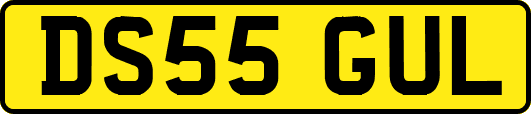 DS55GUL