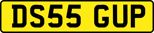 DS55GUP