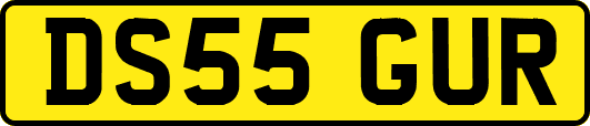 DS55GUR