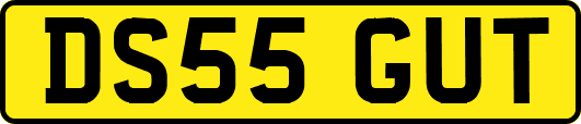 DS55GUT