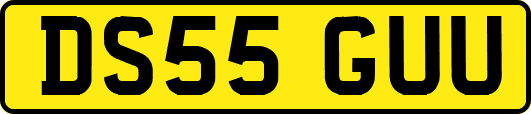 DS55GUU