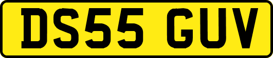 DS55GUV