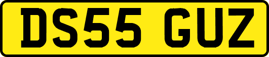 DS55GUZ