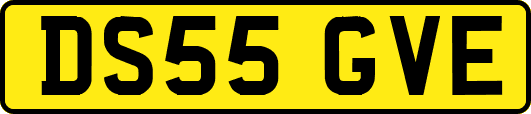 DS55GVE
