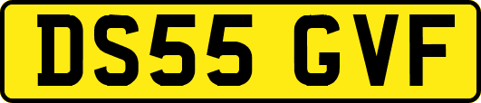 DS55GVF