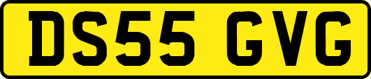 DS55GVG