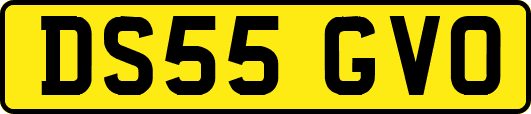 DS55GVO