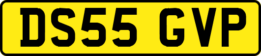 DS55GVP