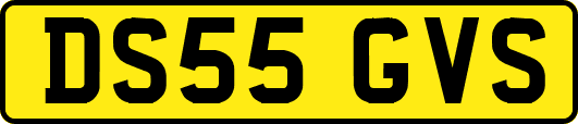 DS55GVS