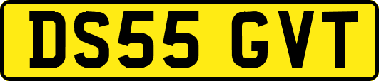 DS55GVT