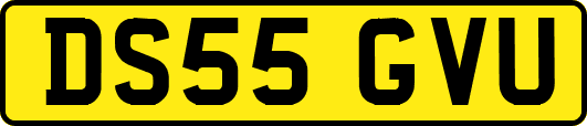 DS55GVU