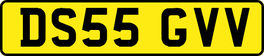 DS55GVV