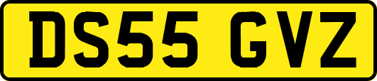 DS55GVZ