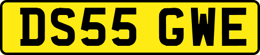 DS55GWE
