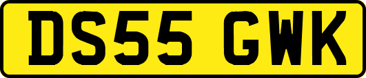 DS55GWK
