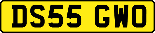 DS55GWO