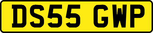 DS55GWP