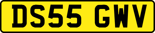 DS55GWV