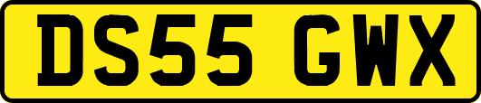 DS55GWX