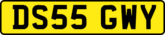 DS55GWY