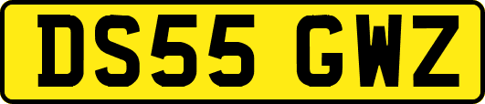 DS55GWZ