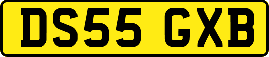 DS55GXB