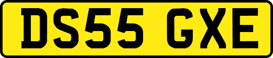 DS55GXE