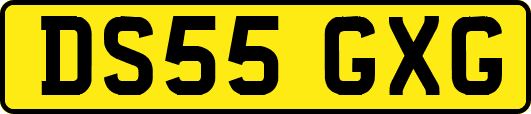 DS55GXG