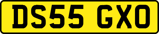 DS55GXO