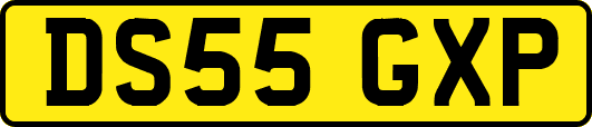 DS55GXP