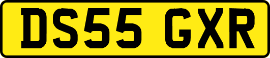 DS55GXR