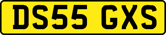 DS55GXS