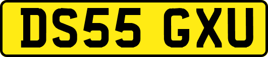 DS55GXU