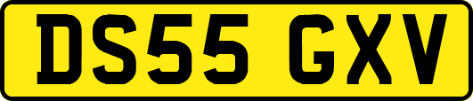 DS55GXV