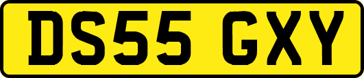 DS55GXY