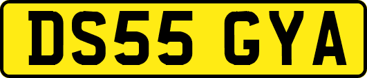 DS55GYA