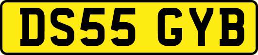 DS55GYB