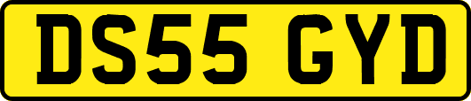 DS55GYD