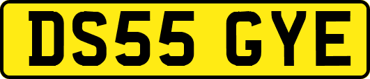 DS55GYE