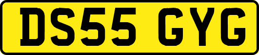 DS55GYG