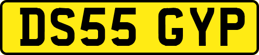 DS55GYP