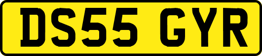 DS55GYR