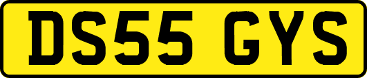 DS55GYS