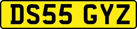 DS55GYZ