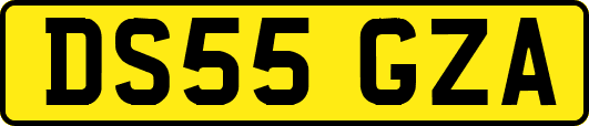 DS55GZA