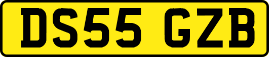 DS55GZB
