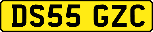 DS55GZC