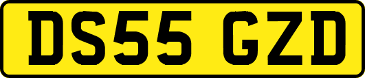 DS55GZD