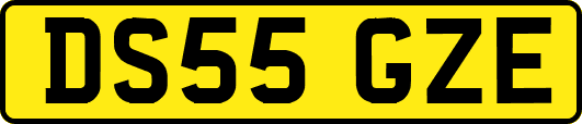 DS55GZE